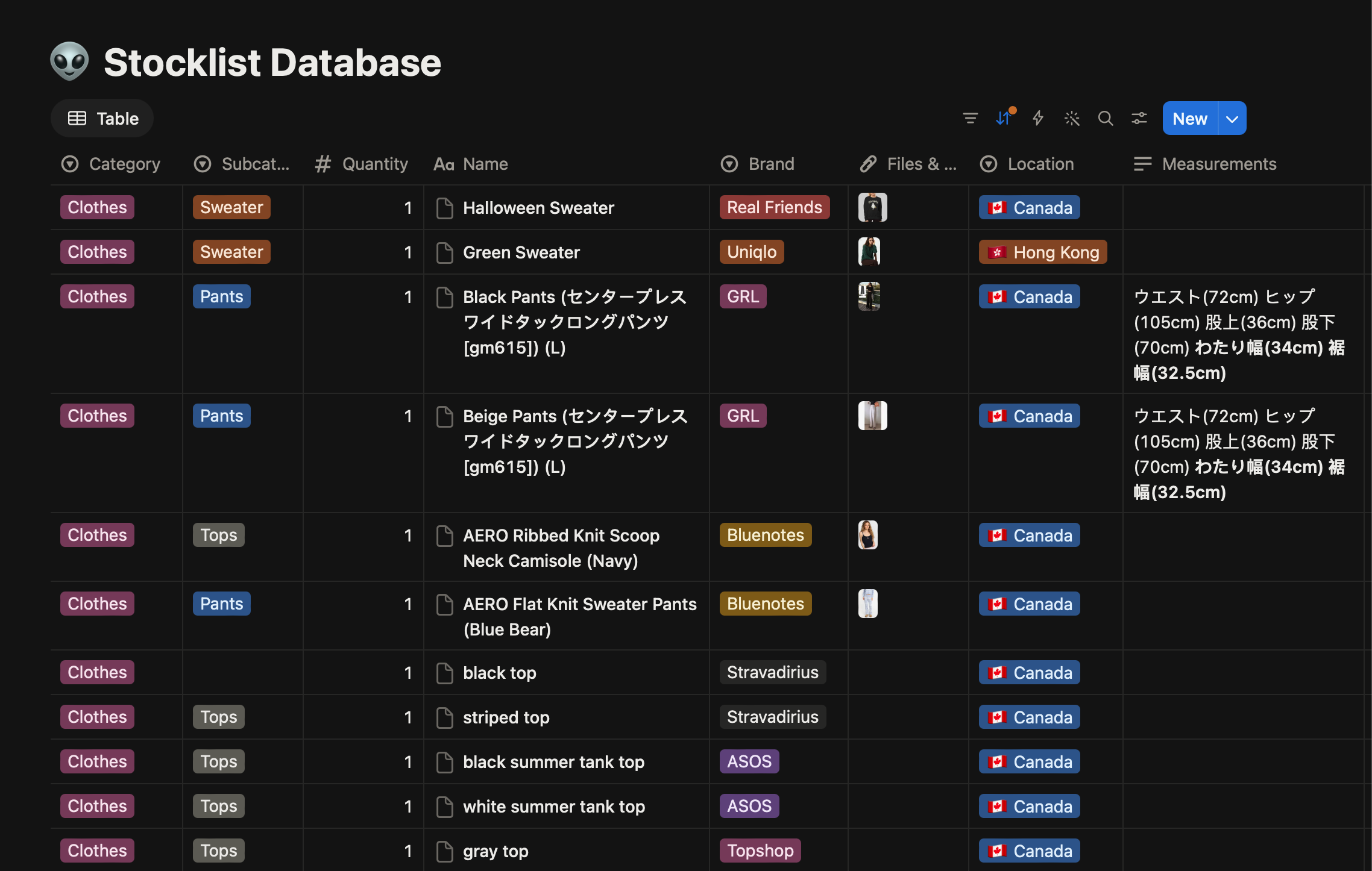 Original inventory database with clothing categories, quantities, brands, and locations